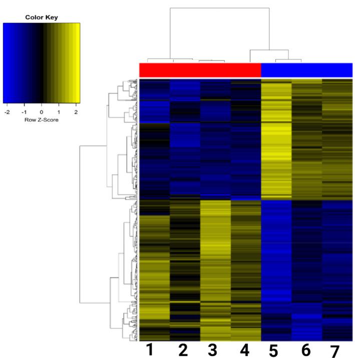 https://cdn.ncbi.nlm.nih.gov/pmc/blobs/264c/8256670/ec68eea62e14/CTI2-10-e1310-g003.jpg