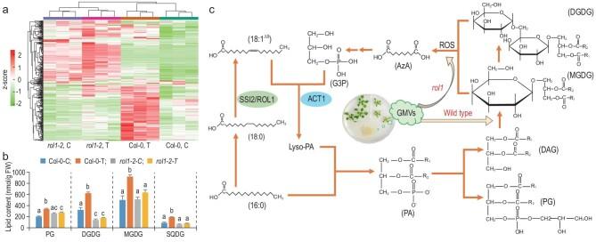 https://cdn.ncbi.nlm.nih.gov/pmc/blobs/264d/9440716/2323d6ca83df/nwac109fig3.jpg