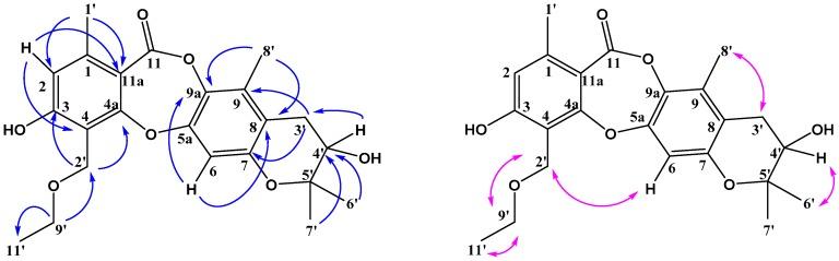 https://cdn.ncbi.nlm.nih.gov/pmc/blobs/264e/6321418/12521494328a/molecules-23-03218-g004.jpg