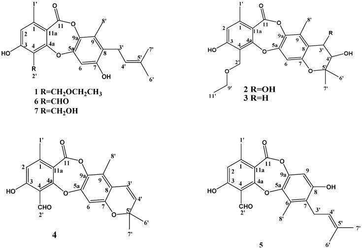 https://cdn.ncbi.nlm.nih.gov/pmc/blobs/264e/6321418/8f3039a7bc50/molecules-23-03218-g001.jpg