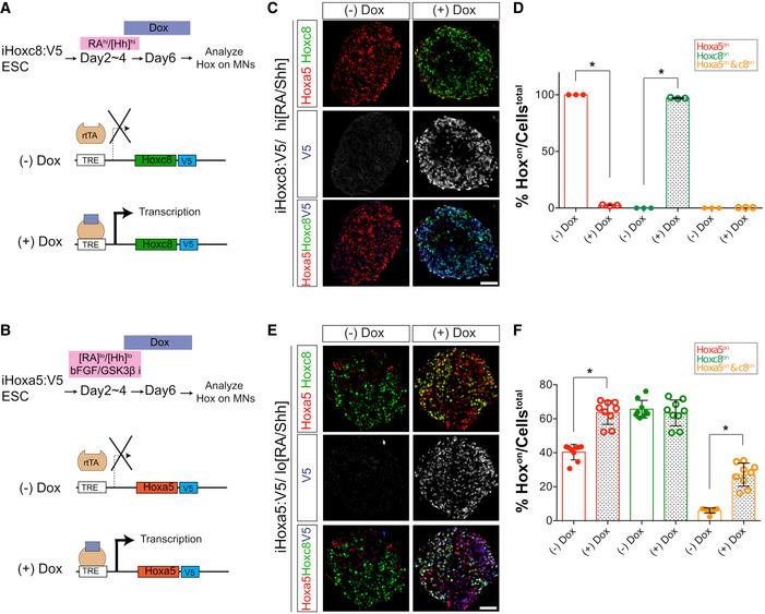 https://cdn.ncbi.nlm.nih.gov/pmc/blobs/264e/8062999/6652b94eadb3/MSB-17-e9945-g005.jpg