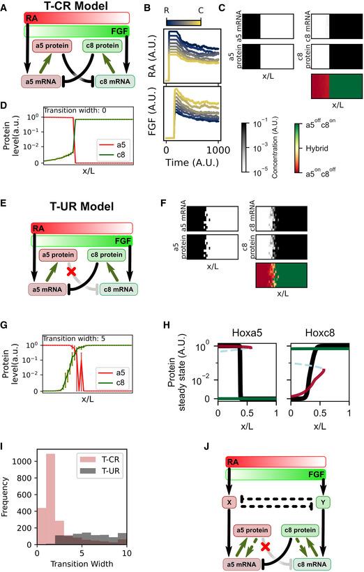 https://cdn.ncbi.nlm.nih.gov/pmc/blobs/264e/8062999/dde534c81762/MSB-17-e9945-g012.jpg