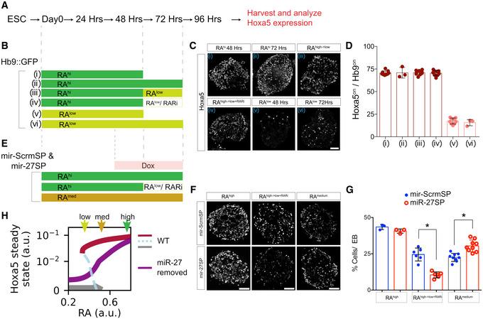 https://cdn.ncbi.nlm.nih.gov/pmc/blobs/264e/8062999/fd728008cb88/MSB-17-e9945-g013.jpg