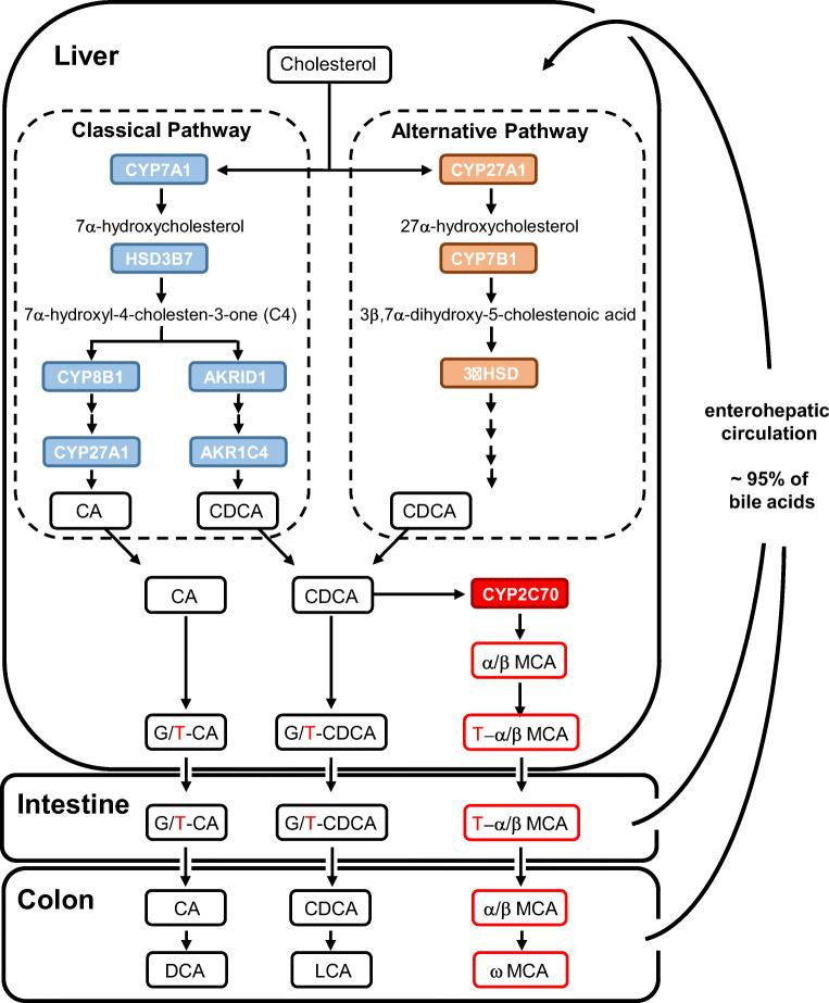 https://cdn.ncbi.nlm.nih.gov/pmc/blobs/264e/8443512/8c3bd7dd19df/281_2021_869_Fig1_HTML.jpg