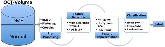 https://cdn.ncbi.nlm.nih.gov/pmc/blobs/2650/5463338/4cbd599beb79/12938_2017_352_Fig1_HTML.jpg