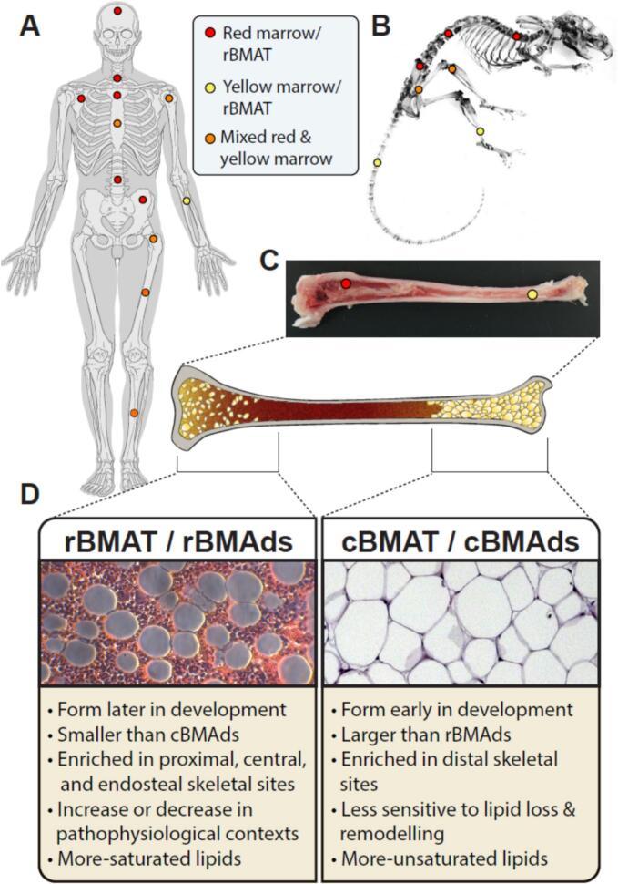 https://cdn.ncbi.nlm.nih.gov/pmc/blobs/2651/12363472/257629dd38c8/gr2.jpg
