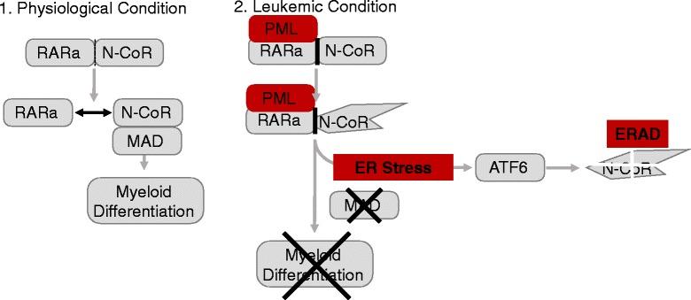 https://cdn.ncbi.nlm.nih.gov/pmc/blobs/2652/4504168/581295fe8f5b/13045_2015_184_Fig1_HTML.jpg