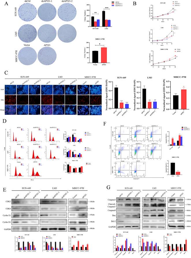 https://cdn.ncbi.nlm.nih.gov/pmc/blobs/2653/12090622/01616f3ae4ad/12967_2025_6537_Fig2_HTML.jpg
