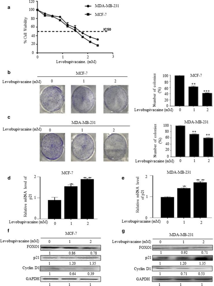 https://cdn.ncbi.nlm.nih.gov/pmc/blobs/2653/7430121/71c563b7eae3/13104_2020_5191_Fig1_HTML.jpg