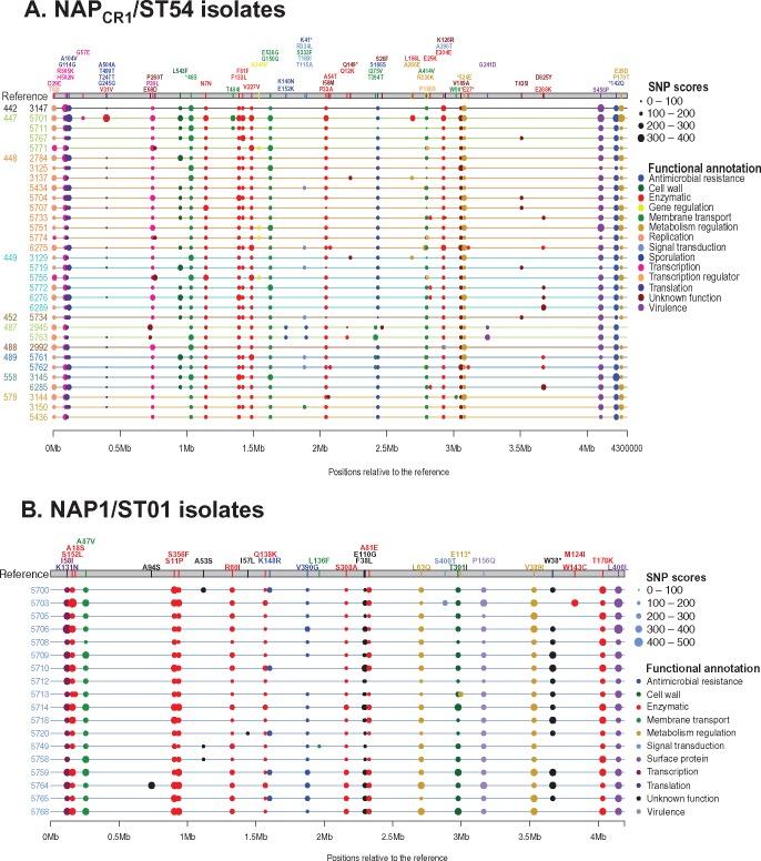 https://cdn.ncbi.nlm.nih.gov/pmc/blobs/2654/5888409/b3c80e37c202/evy059f2.jpg