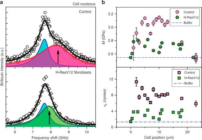 https://cdn.ncbi.nlm.nih.gov/pmc/blobs/2654/6624783/0be73a5a29b5/cr-2019-00019f_0014.jpg