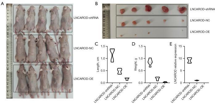 https://cdn.ncbi.nlm.nih.gov/pmc/blobs/2656/12082203/329450fafd38/tlcr-14-04-1351-f3.jpg