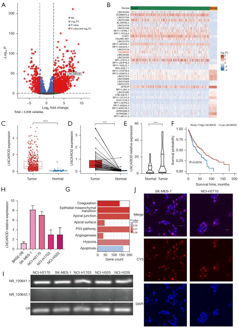 https://cdn.ncbi.nlm.nih.gov/pmc/blobs/2656/12082203/382915068186/tlcr-14-04-1351-f1.jpg