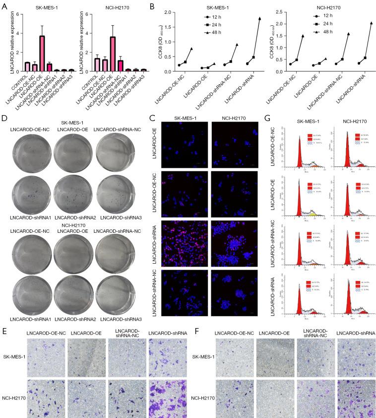 https://cdn.ncbi.nlm.nih.gov/pmc/blobs/2656/12082203/588960e9db89/tlcr-14-04-1351-f2.jpg