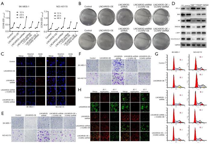 https://cdn.ncbi.nlm.nih.gov/pmc/blobs/2656/12082203/c98bcaada0bc/tlcr-14-04-1351-f7.jpg