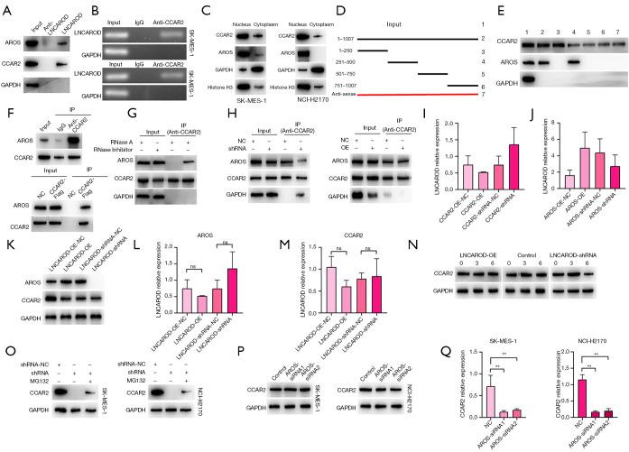 https://cdn.ncbi.nlm.nih.gov/pmc/blobs/2656/12082203/d54a0bdc71d3/tlcr-14-04-1351-f5.jpg