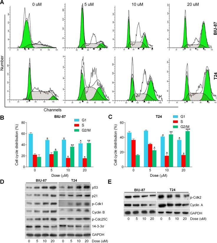 https://cdn.ncbi.nlm.nih.gov/pmc/blobs/2659/5762528/824dada8e921/oncotarget-08-112498-g002.jpg