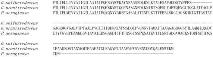 https://cdn.ncbi.nlm.nih.gov/pmc/blobs/265b/4923279/a0faf0bf511b/fmicb-07-00980-g001.jpg