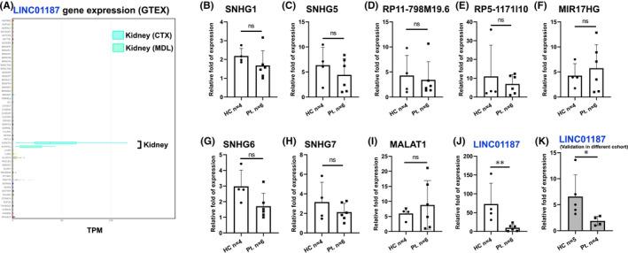 https://cdn.ncbi.nlm.nih.gov/pmc/blobs/265c/10148052/000193fcc419/JCMM-27-1192-g002.jpg