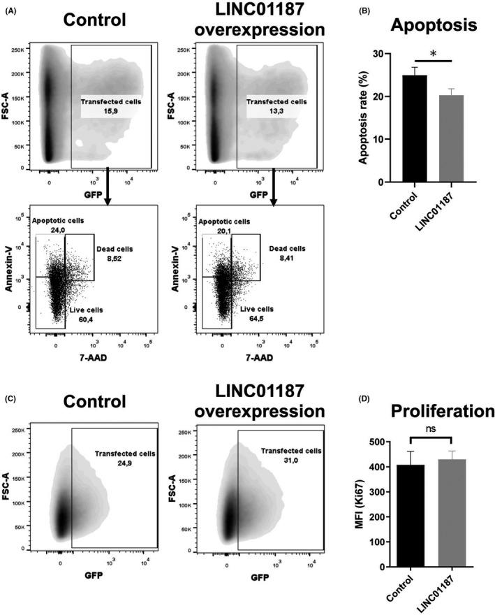 https://cdn.ncbi.nlm.nih.gov/pmc/blobs/265c/10148052/88fa42d16c9b/JCMM-27-1192-g005.jpg