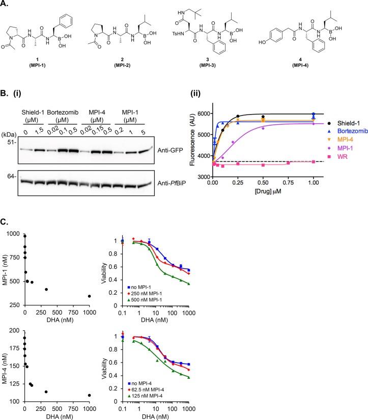 https://cdn.ncbi.nlm.nih.gov/pmc/blobs/265f/6257627/955d9cc050ba/jm-2018-01161a_0001.jpg