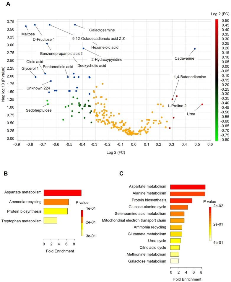 https://cdn.ncbi.nlm.nih.gov/pmc/blobs/2660/6592169/696ccac45a4a/thnov09p4101g004.jpg