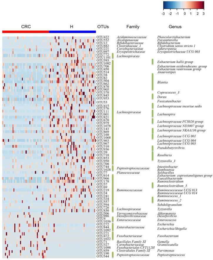 https://cdn.ncbi.nlm.nih.gov/pmc/blobs/2660/6592169/a6f5c7fb7065/thnov09p4101g003.jpg