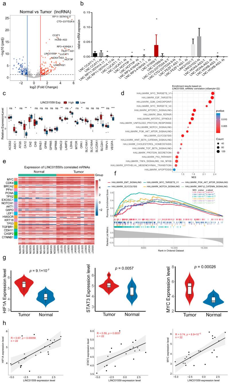 https://cdn.ncbi.nlm.nih.gov/pmc/blobs/2664/12292489/1e2a8c25fbff/biomedicines-13-01611-g002.jpg