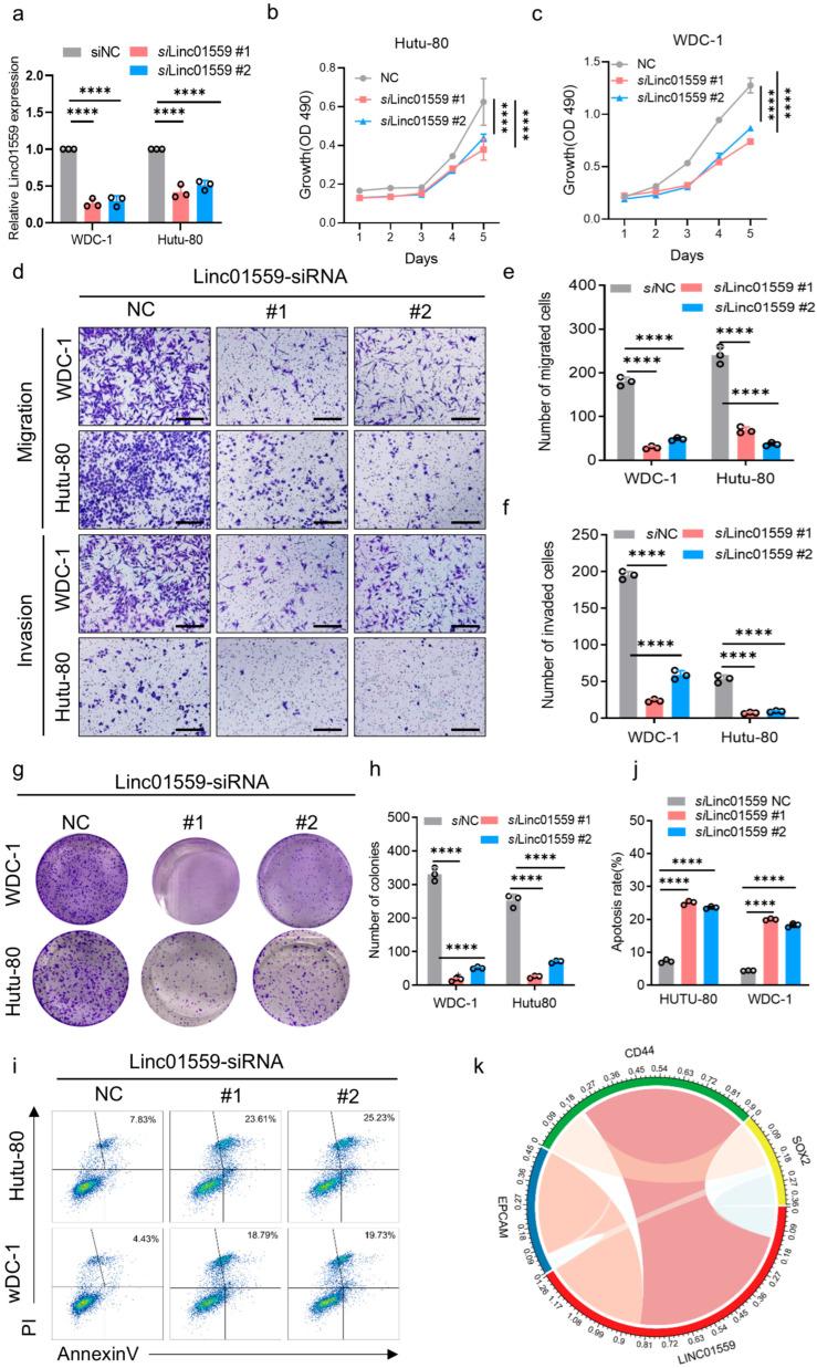 https://cdn.ncbi.nlm.nih.gov/pmc/blobs/2664/12292489/295673bc2451/biomedicines-13-01611-g003.jpg