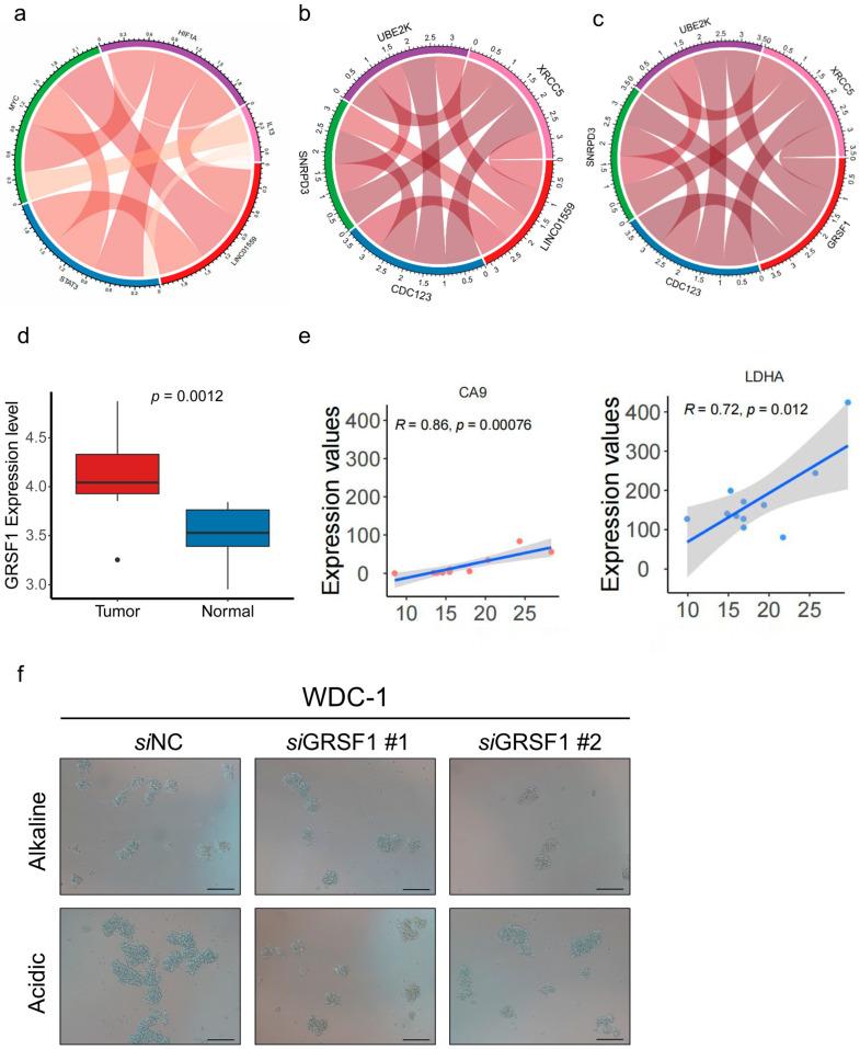 https://cdn.ncbi.nlm.nih.gov/pmc/blobs/2664/12292489/32cc7ad55997/biomedicines-13-01611-g0A2.jpg