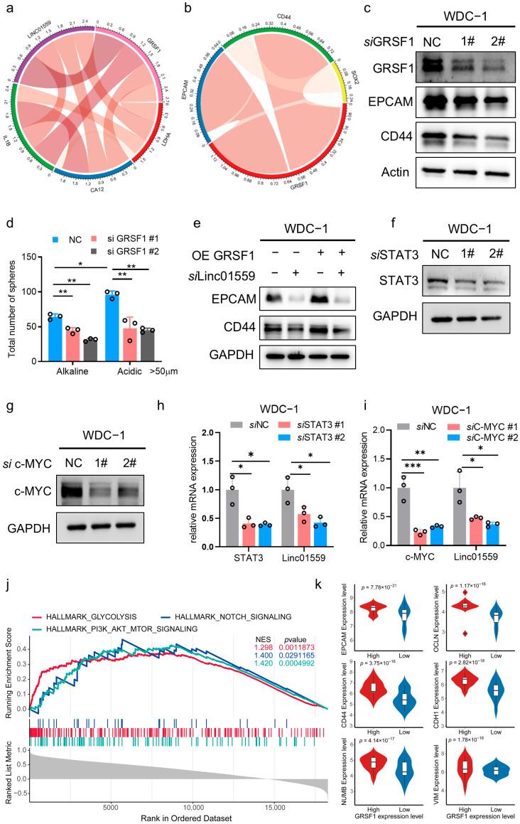 https://cdn.ncbi.nlm.nih.gov/pmc/blobs/2664/12292489/4165ef235027/biomedicines-13-01611-g006.jpg
