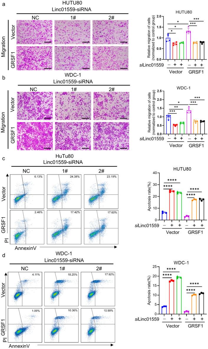 https://cdn.ncbi.nlm.nih.gov/pmc/blobs/2664/12292489/4e7fedcb5ebb/biomedicines-13-01611-g005.jpg