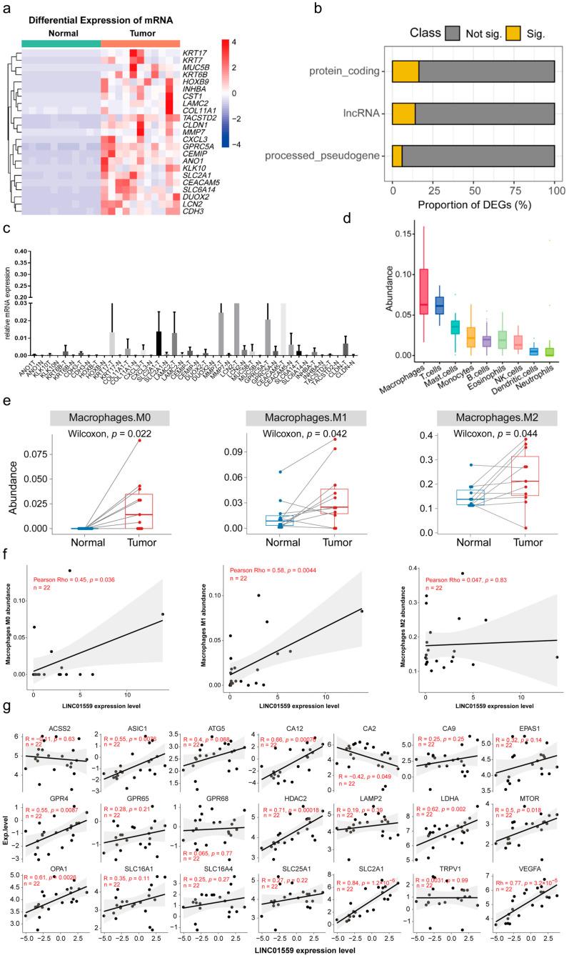 https://cdn.ncbi.nlm.nih.gov/pmc/blobs/2664/12292489/82ae87392f43/biomedicines-13-01611-g0A1.jpg