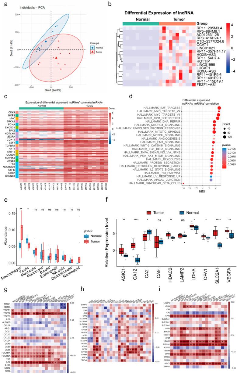 https://cdn.ncbi.nlm.nih.gov/pmc/blobs/2664/12292489/87b07fbfc833/biomedicines-13-01611-g001.jpg