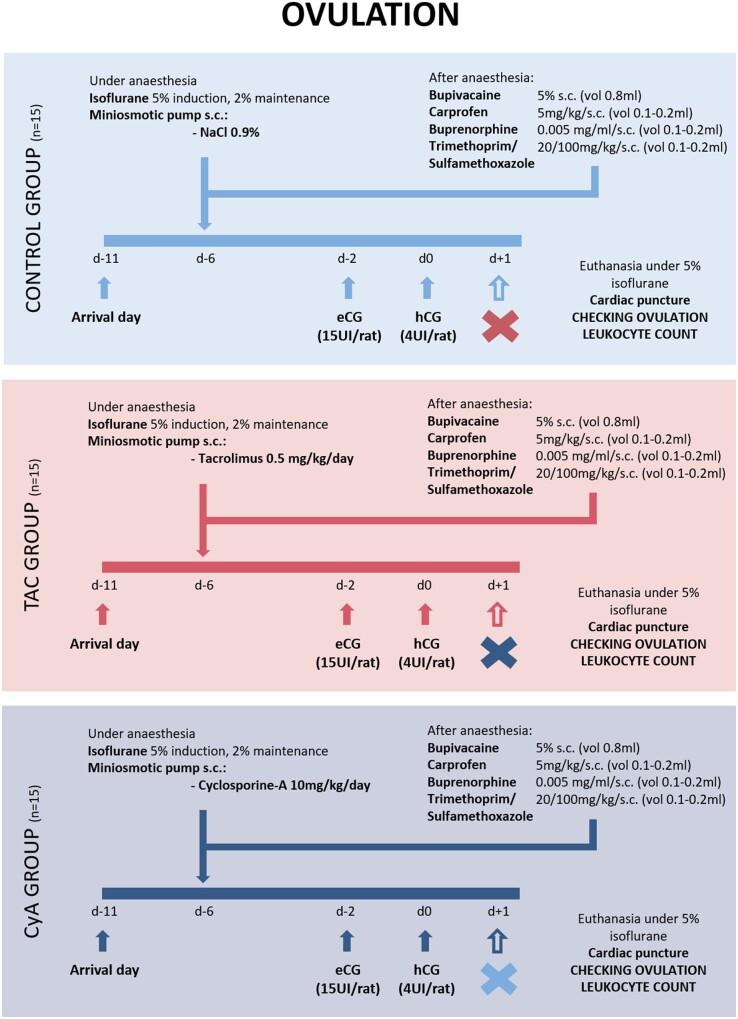 https://cdn.ncbi.nlm.nih.gov/pmc/blobs/2664/8111498/dfd771a4e557/hoab012f1.jpg