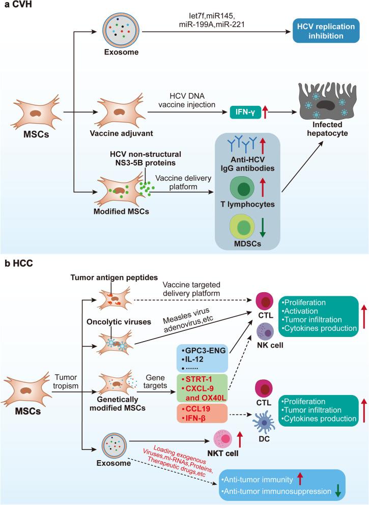 https://cdn.ncbi.nlm.nih.gov/pmc/blobs/2664/9329508/0162017d6a61/43556_2022_88_Fig7_HTML.jpg