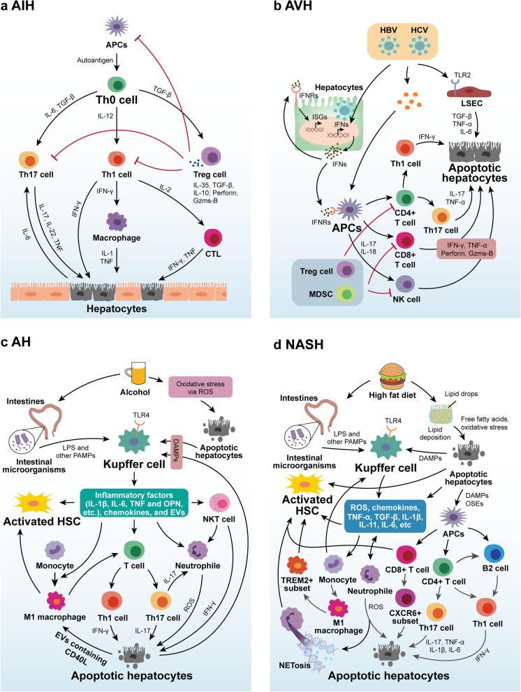 https://cdn.ncbi.nlm.nih.gov/pmc/blobs/2664/9329508/1cc7531d9cd3/43556_2022_88_Fig3_HTML.jpg