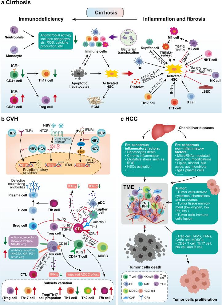 https://cdn.ncbi.nlm.nih.gov/pmc/blobs/2664/9329508/b9023c9b5c42/43556_2022_88_Fig4_HTML.jpg