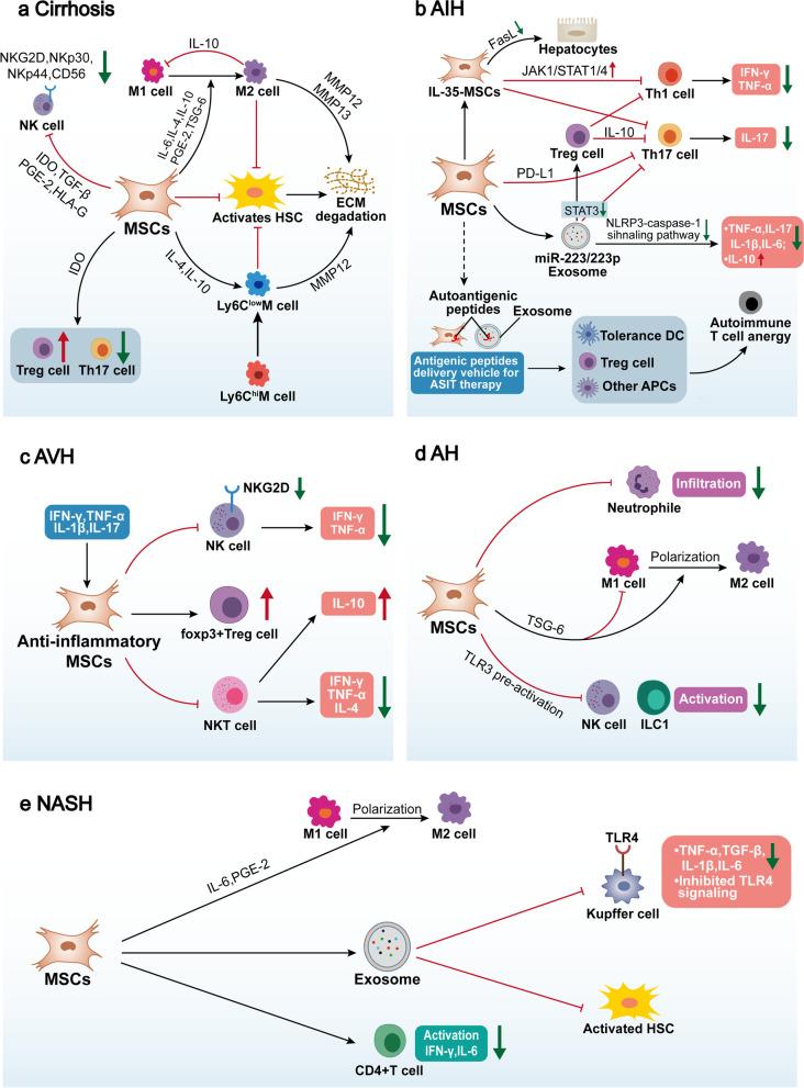 https://cdn.ncbi.nlm.nih.gov/pmc/blobs/2664/9329508/e0fc37e507c7/43556_2022_88_Fig6_HTML.jpg
