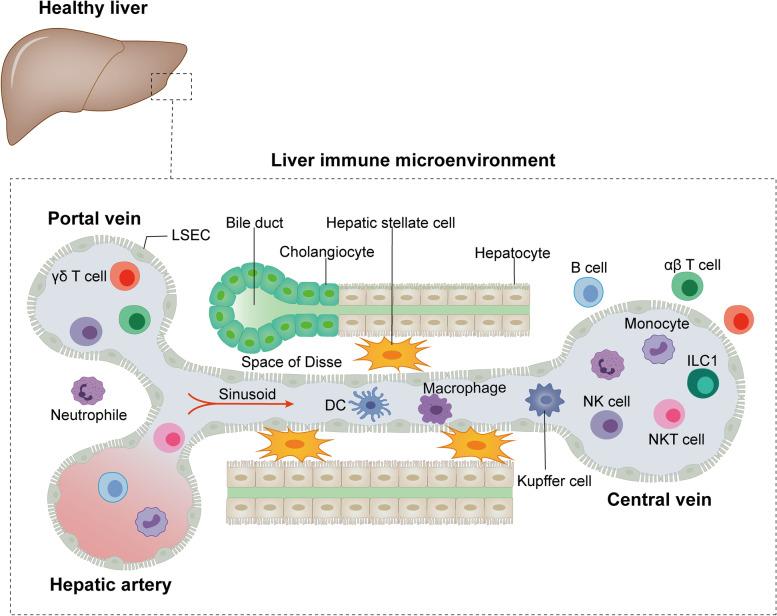https://cdn.ncbi.nlm.nih.gov/pmc/blobs/2664/9329508/e45f92a00b1c/43556_2022_88_Fig1_HTML.jpg