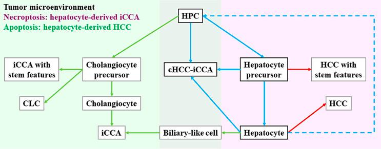 https://cdn.ncbi.nlm.nih.gov/pmc/blobs/2666/10857821/c4e796b80e10/lic-2024-0013-0001-530700_F04.jpg