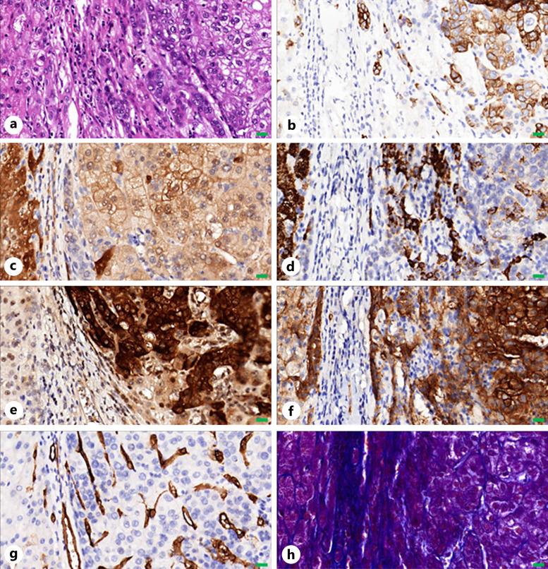 https://cdn.ncbi.nlm.nih.gov/pmc/blobs/2666/10857821/e01e9aa003a0/lic-2024-0013-0001-530700_F03.jpg