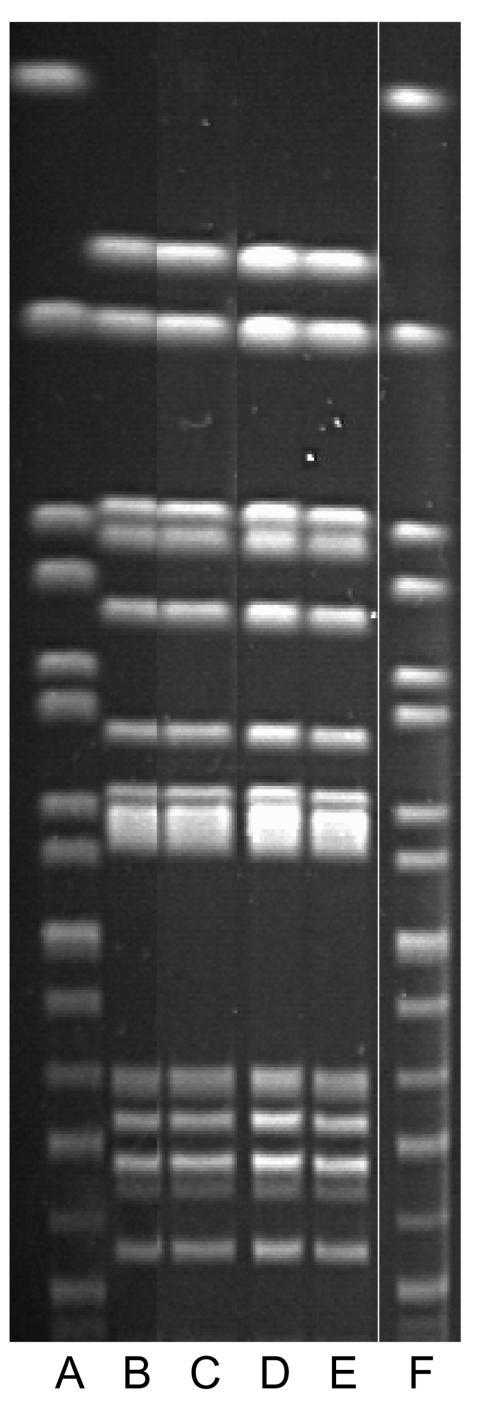 https://cdn.ncbi.nlm.nih.gov/pmc/blobs/2666/3320505/64bf93c61b00/05-0111-F3.jpg