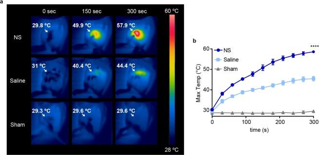 https://cdn.ncbi.nlm.nih.gov/pmc/blobs/2666/7200754/4d22dd801df3/41598_2020_64617_Fig1_HTML.jpg