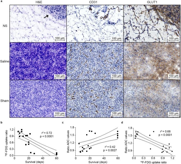 https://cdn.ncbi.nlm.nih.gov/pmc/blobs/2666/7200754/ee653f28d02d/41598_2020_64617_Fig5_HTML.jpg