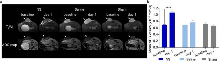 https://cdn.ncbi.nlm.nih.gov/pmc/blobs/2666/7200754/fea01f9aa439/41598_2020_64617_Fig4_HTML.jpg