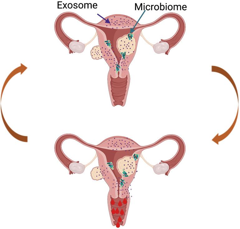 https://cdn.ncbi.nlm.nih.gov/pmc/blobs/2668/8186666/fb3fe6f02194/fcell-09-633180-g005.jpg