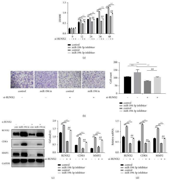 https://cdn.ncbi.nlm.nih.gov/pmc/blobs/266a/6431430/2af48721bfd0/BMRI2019-8214923.004.jpg