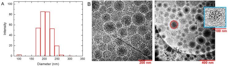 https://cdn.ncbi.nlm.nih.gov/pmc/blobs/266a/6536782/34b7c8648be6/ntnov03p0166g002.jpg