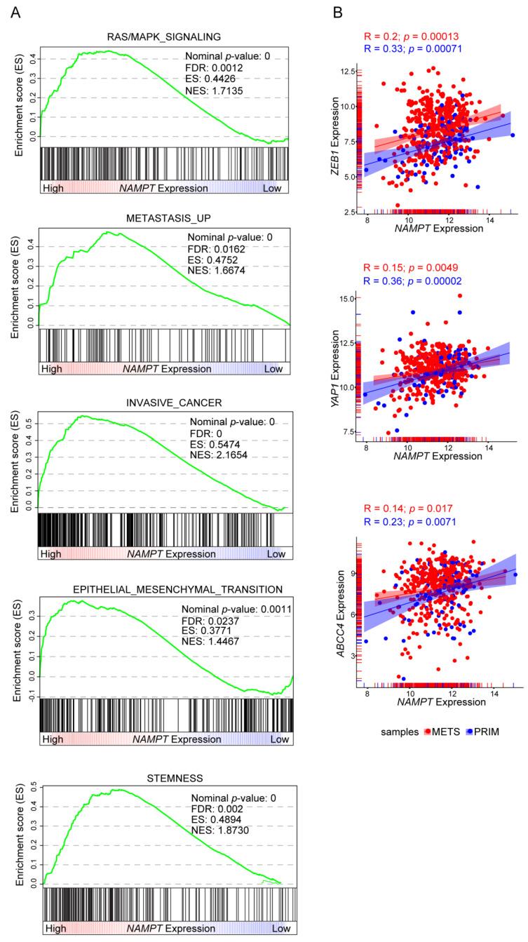 https://cdn.ncbi.nlm.nih.gov/pmc/blobs/266b/7766175/5d9cdb488e08/cancers-12-03855-g005.jpg